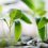 HRB-TMRN Research Associate secures HRB funding to nurture and develop trials methodology research agenda